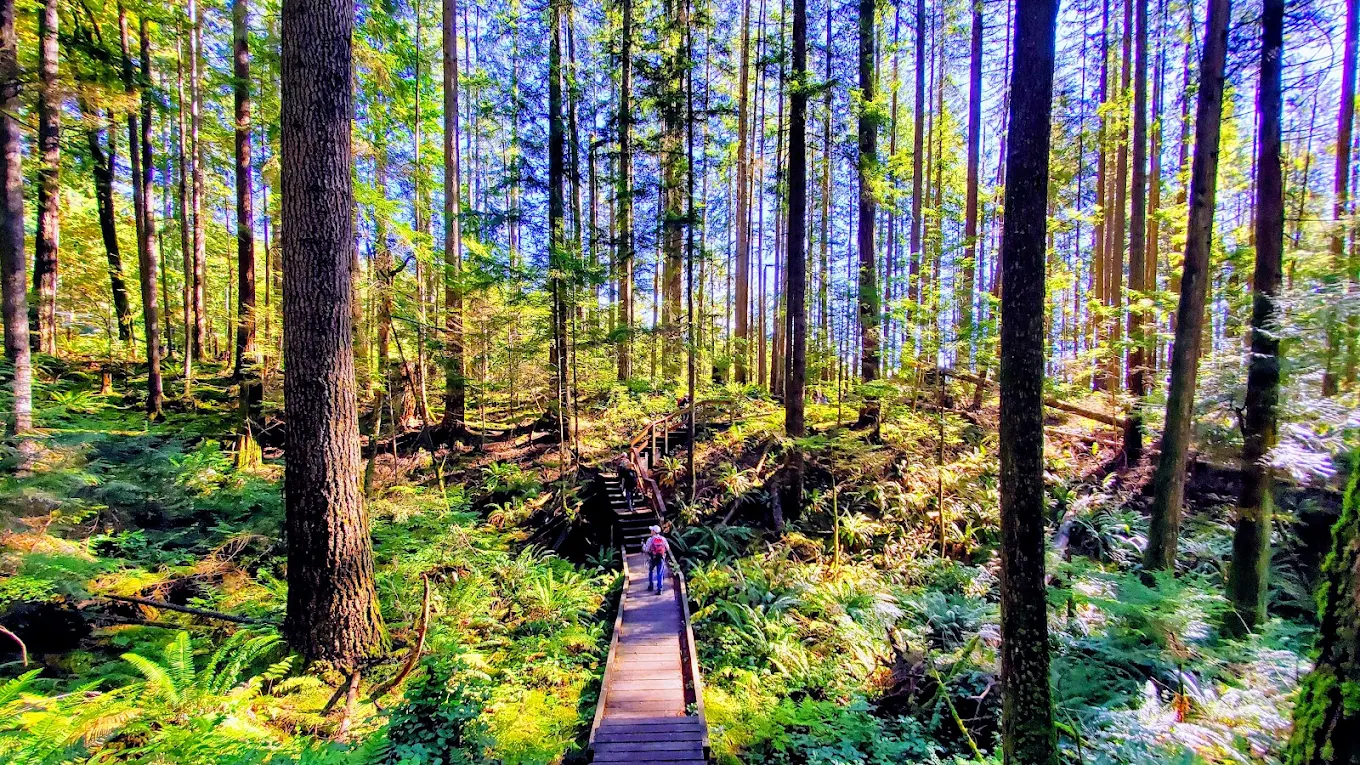 Baden-Powell Trail