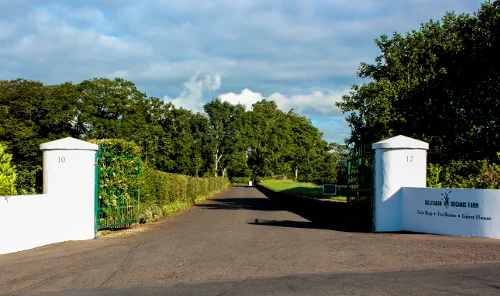 Ballylagan Organic Farm in Straid