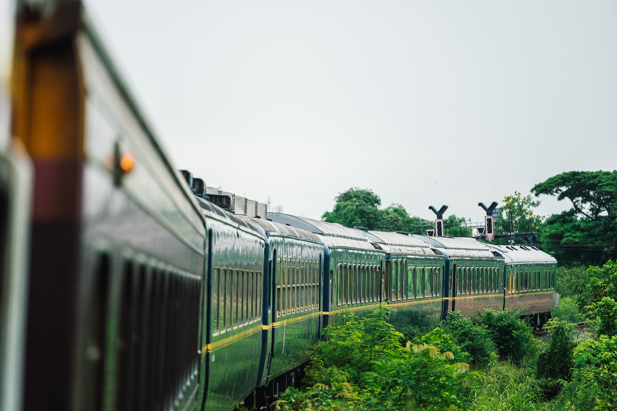The Blue Jasmine Train